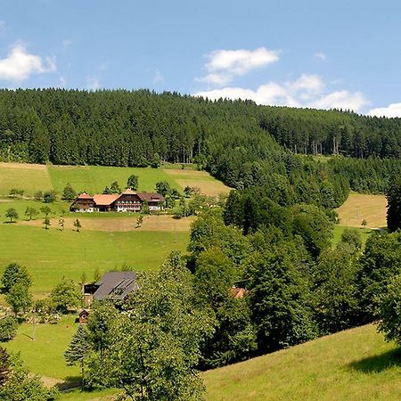 Апартаменты Riehle Hof Целль-ам-Хармерсбах Экстерьер фото