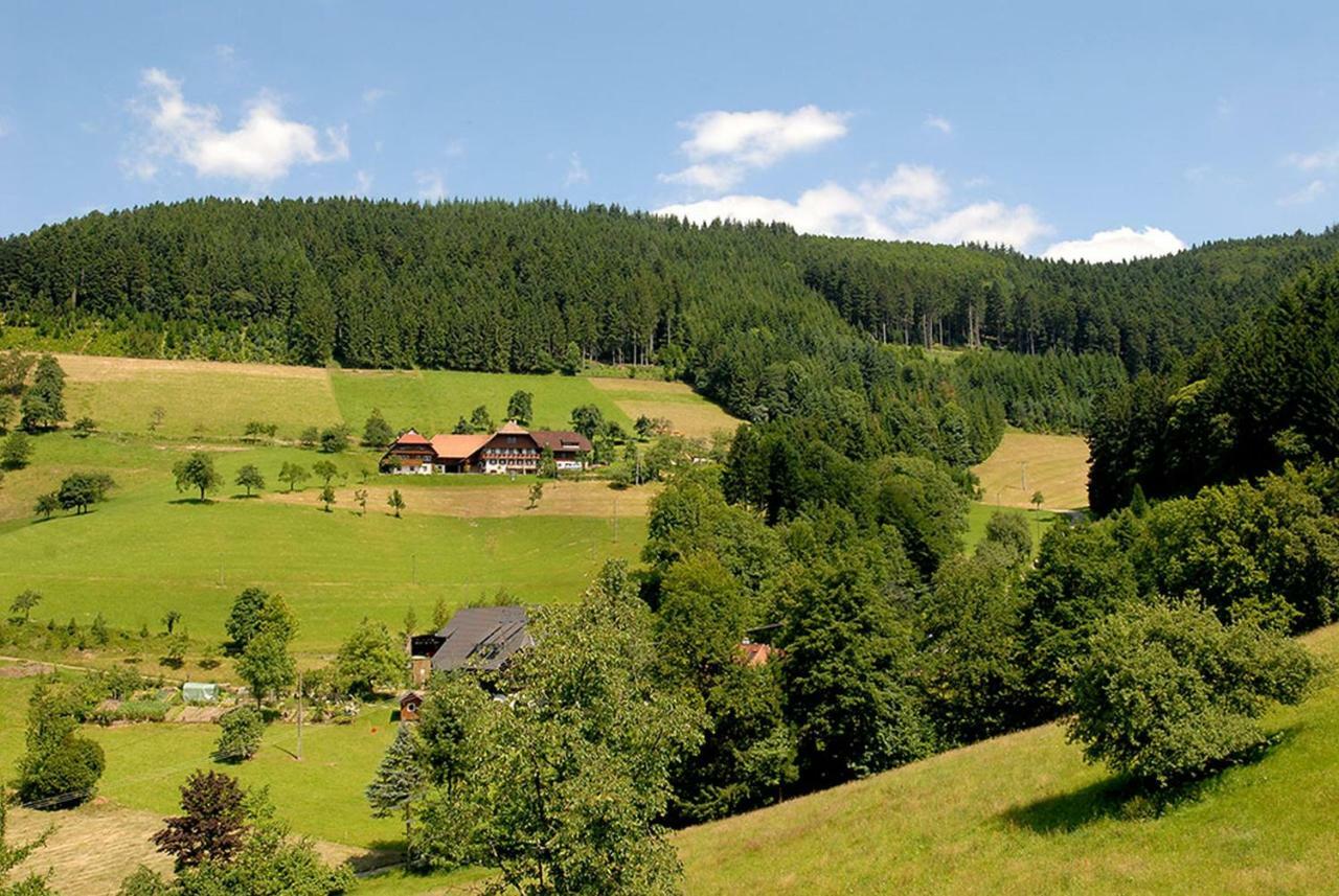 Апартаменты Riehle Hof Целль-ам-Хармерсбах Экстерьер фото
