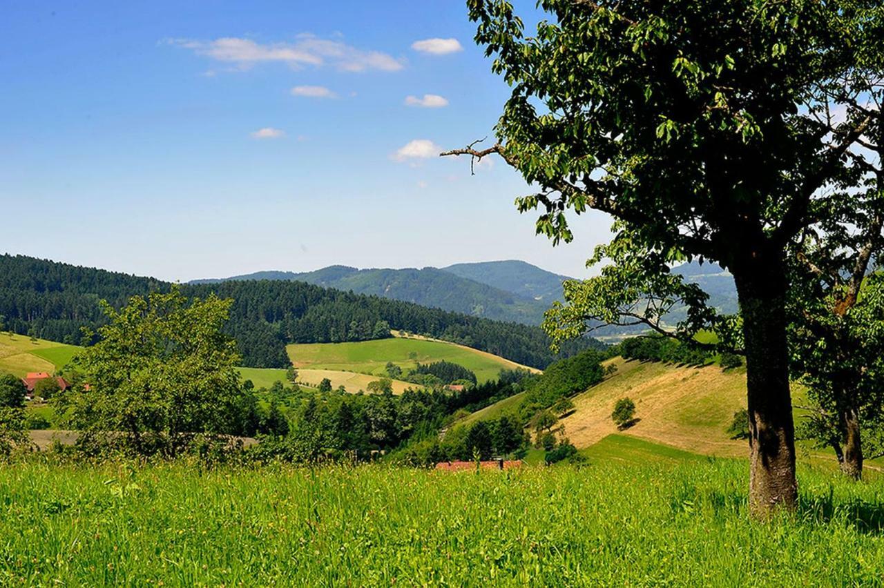 Апартаменты Riehle Hof Целль-ам-Хармерсбах Экстерьер фото